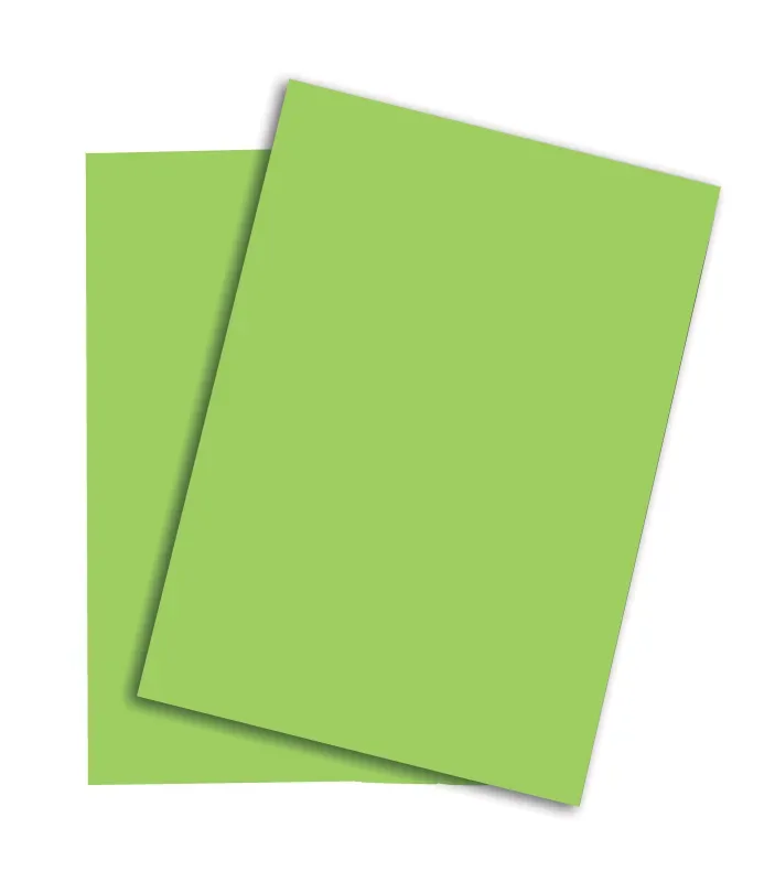 PAPYRUS Rainbow Papier FSC A4 88043140 160g, gr&uuml;n 250 Blatt