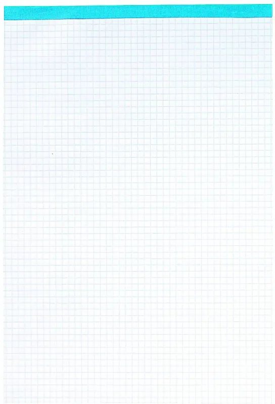 ELCO Notizblock Office A4 73411.18 kariert, 65g 100 Blatt