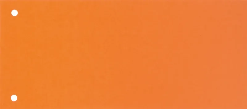 BIELLA Trennstreifen Karton 2 Loch 19919035 orange, 24x10.5cm 100 Stk.
