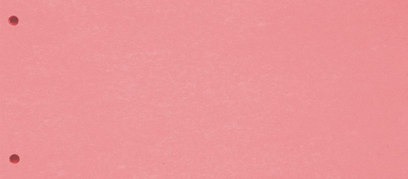 BIELLA Trennstreifen Karton 2 Loch 199190.45 rot, 24x10.5cm 100 Stk.