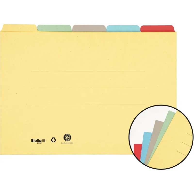 BIELLA Registermappe A4 325432.00 farbig assort., 190 Bl. 5 Stk.