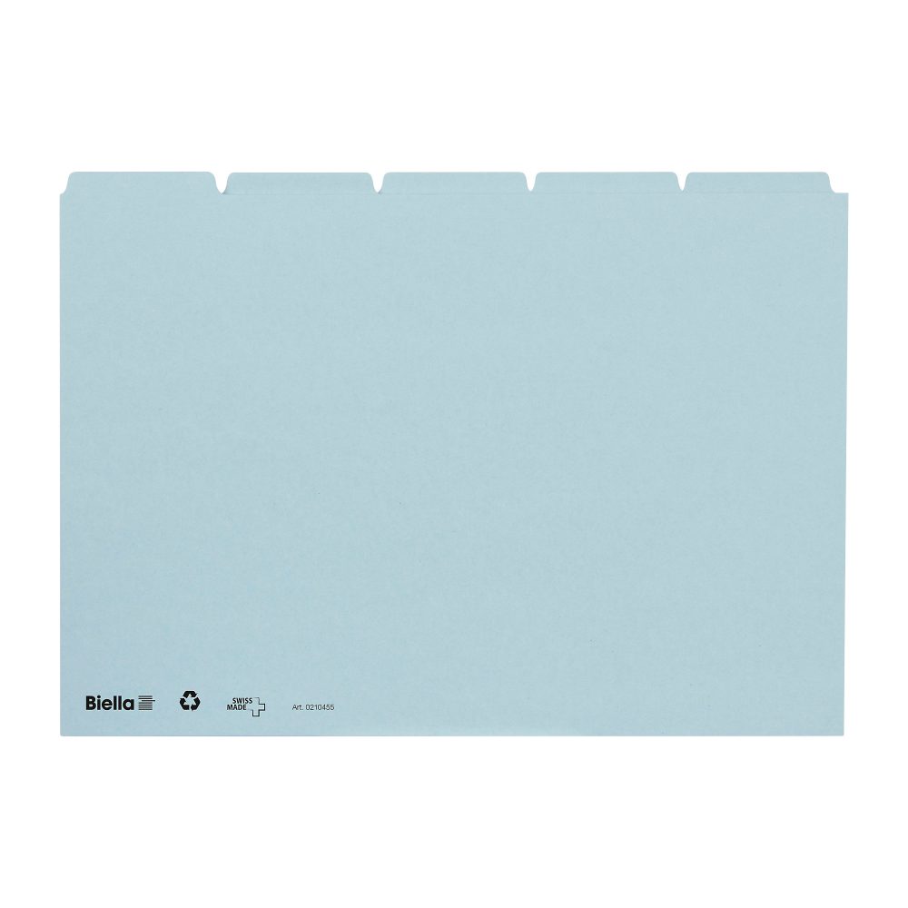 BIELLA Leitkarten blanko A4 21045505 blau