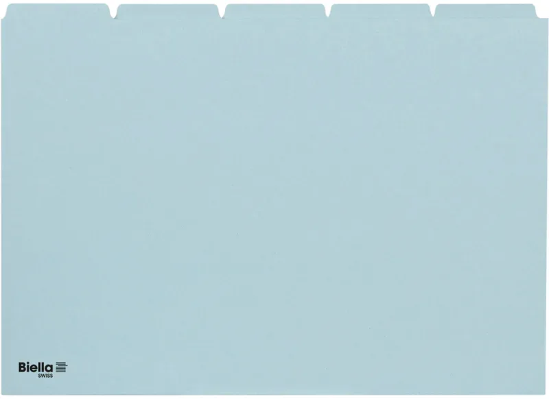 BIELLA Kartei-Leitkarten blanko A5 210555.05 blau, 25-teilig