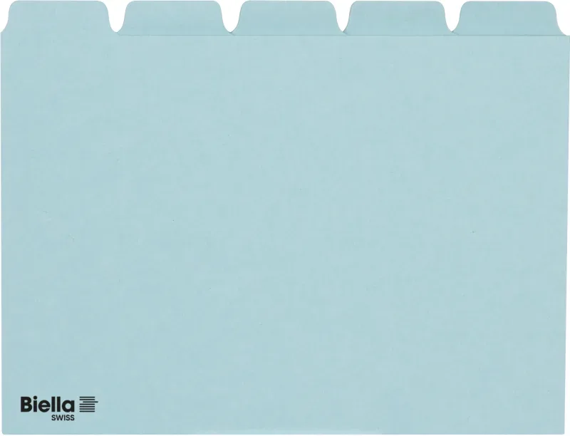 BIELLA Kartei-Leitkarten Blanko A6 210655.05 blau, 25-teilig