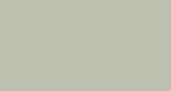 PAPYRUS Tonzeichenpapier A4 88020061 130g. silbergrau 100 Blatt
