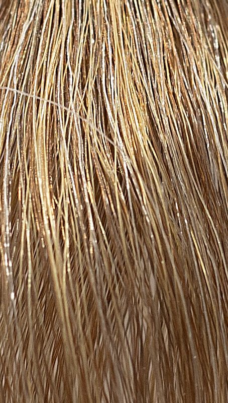 REF Soft Colour Coloration 8.31 Light Gold Ash Blonde 3 x 50 ml