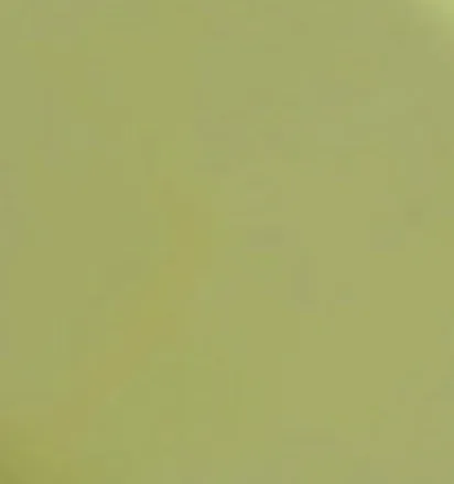 Dermacolor Camouflage Cr&egrave;me  DredB 30 g