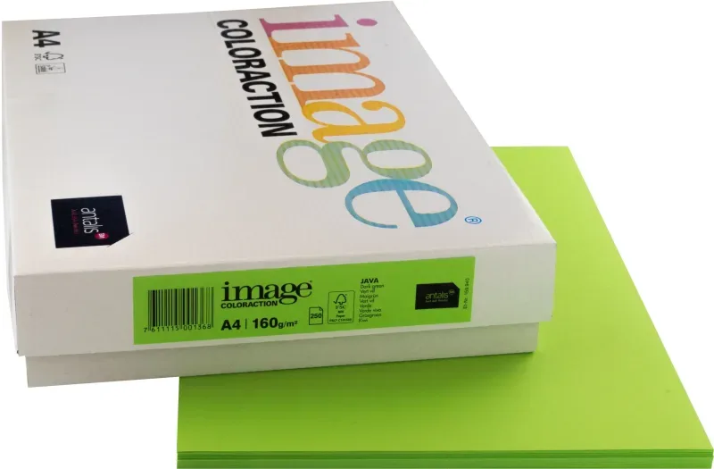 IMAGE COLORACTION Kopierpapier Java A4 159.940 maigr&uuml;n, 160g 250 Blatt