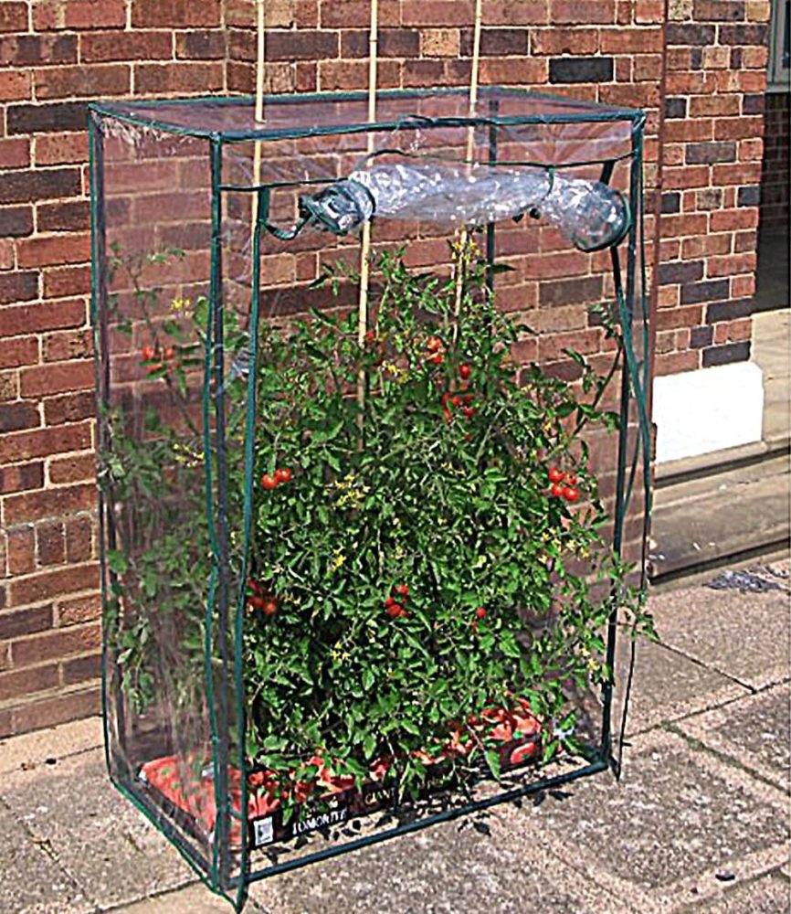 Tomaten-Gewächshaus 100x50x150 cm (1 Stück)
