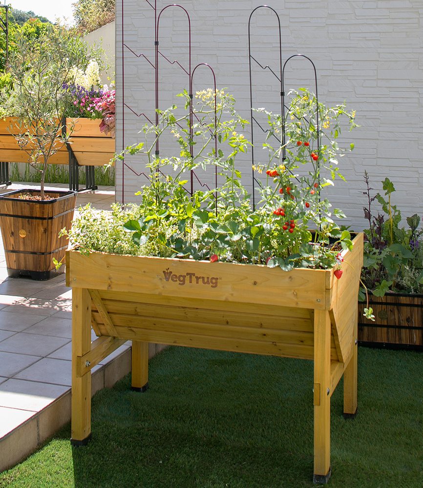 Vegtrug® Hochbeet Holz 100x46x80 cm (1 Stück)