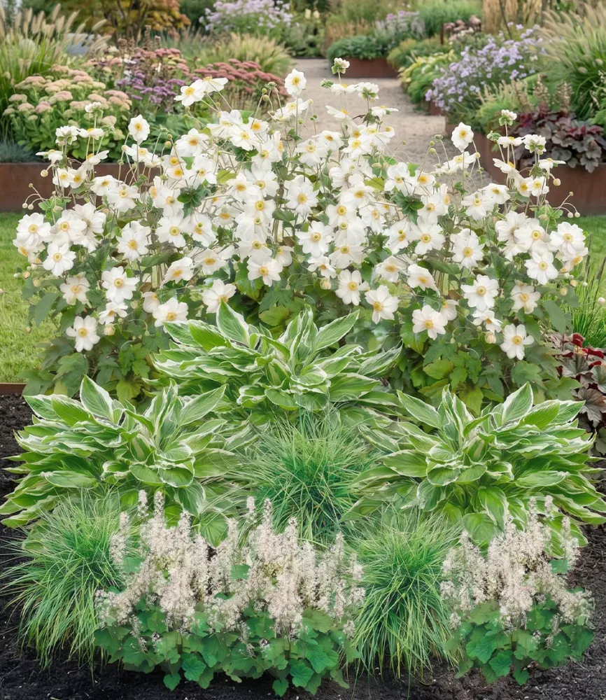 8er Schattengarten 'Just White'