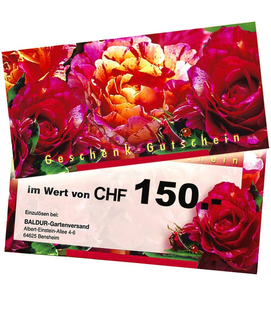 Geschenk-Gutschein im Wert von 150 CHF (1 Stück)