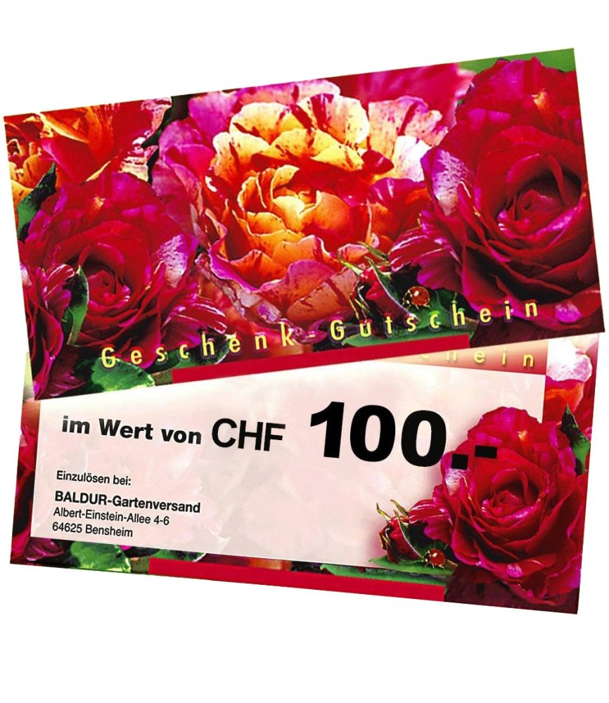 Geschenk-Gutschein im Wert von 100 CHF (1 Stück)