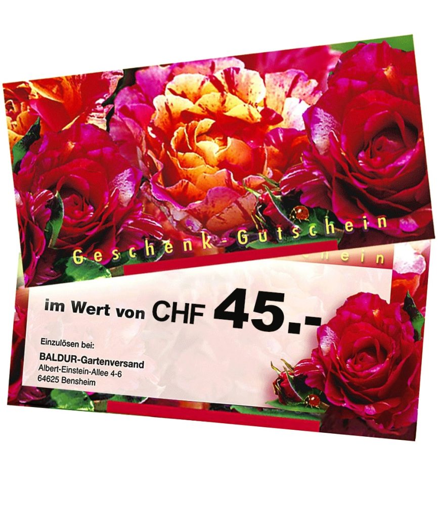 Geschenk-Gutschein im Wert von 45 CHF (1 Stück)