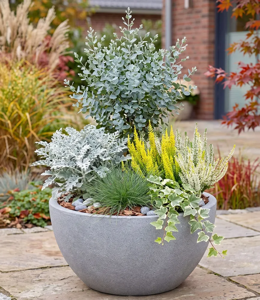 5er Herbst-Set 'Silver Breeze'