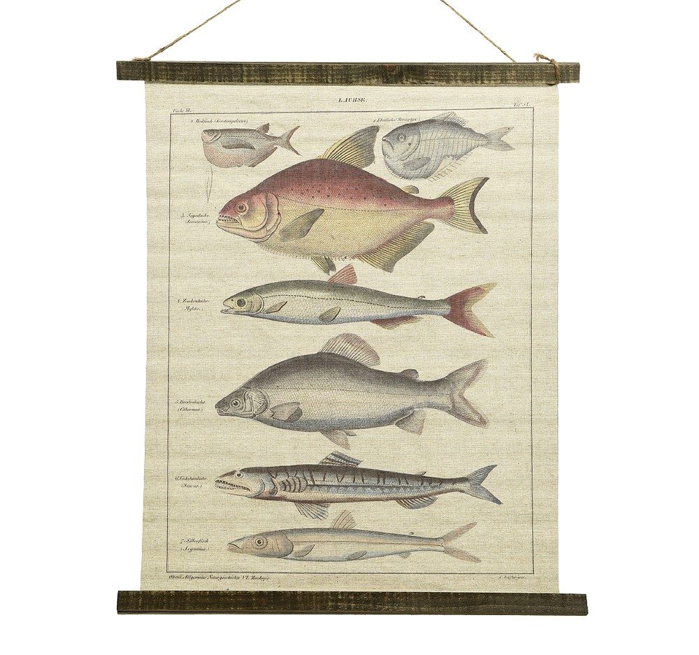 Schulwandkarte Wandbild Fische Lachse Biologie Nostalgie Leinwand 72x60cm