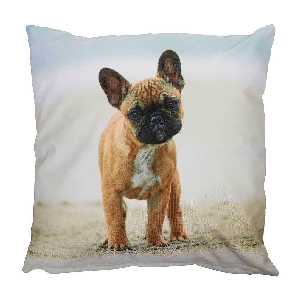 Outdoor Kissen Hundemotiv Dogge Gartenkissen Hund Wasserabweisend 40 x 40 cm