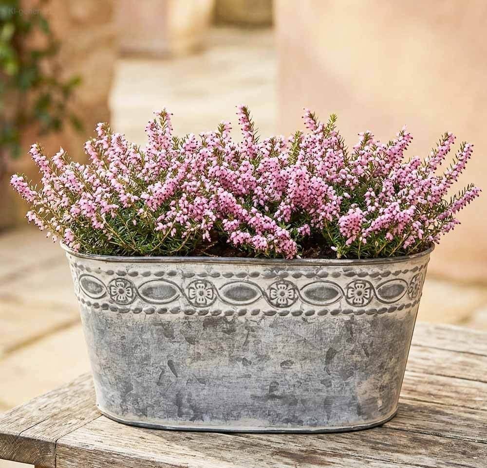 Zinktopf Pflanztopf Zink Blumentopf Oval Lang Landhausstil Antik-Grau 27 cm