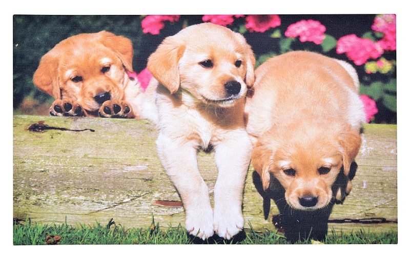 Gummi- Fussmatte Fussabtreter Hunde- Welpen 75x45cm