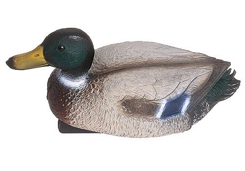 Oase Teichfigur Stockente Erpel Dekofigur