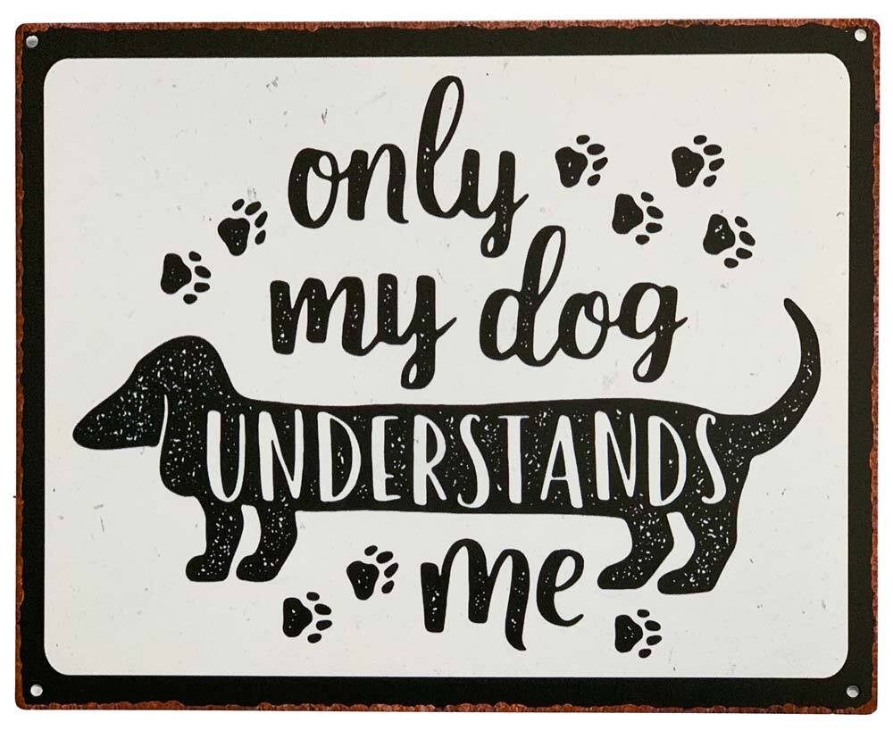 Blechschild Dackel Dachshund Retro Vintage-Deko für Hundefreunde 20 x 25 cm