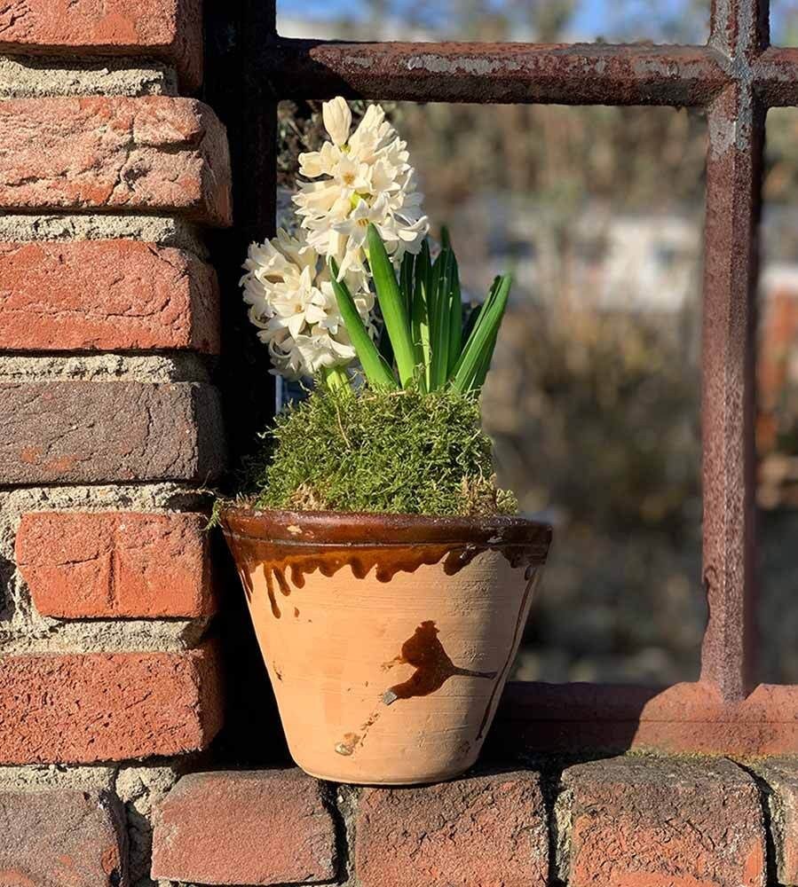 Harztopf zum Bepflanzen, tolle Deko für Blumen, als Planzgefäß oder Kerzenhalter