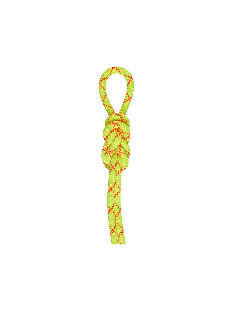 Mammut 9.5 Alpine Core Protect Dry Kletterseil