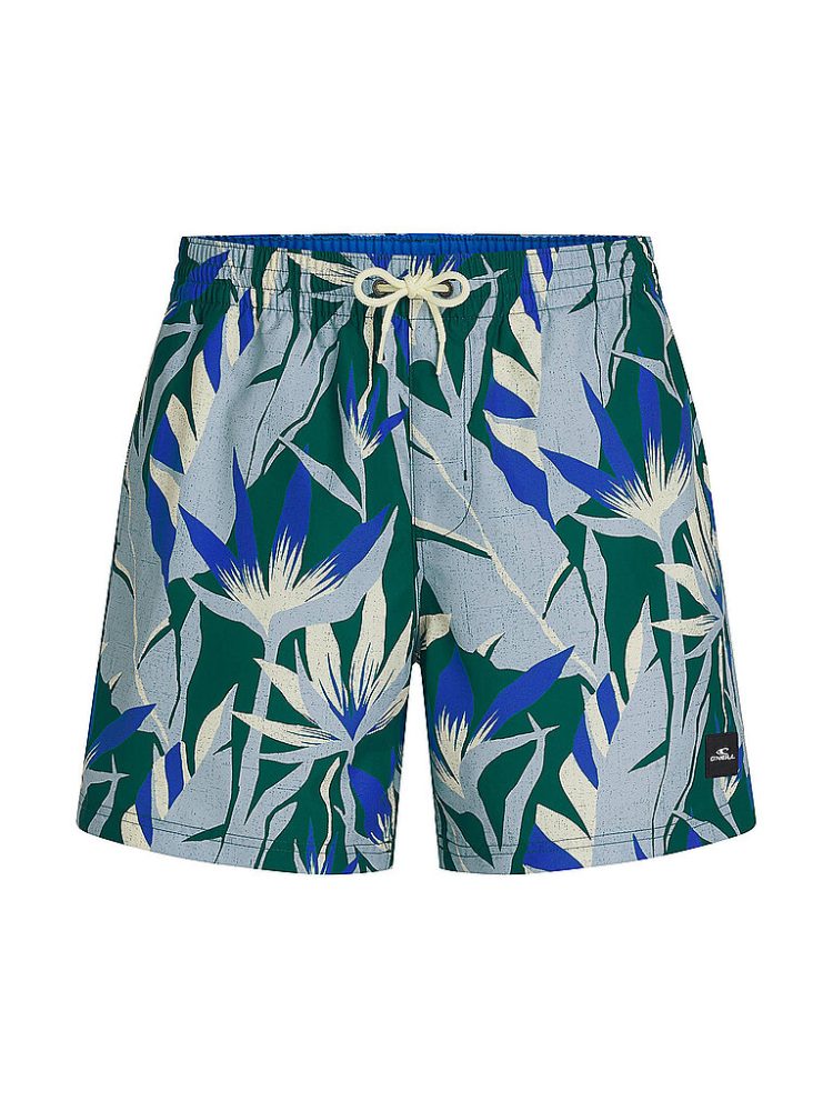O'NEILL Herren Beachshorts Print blau | L