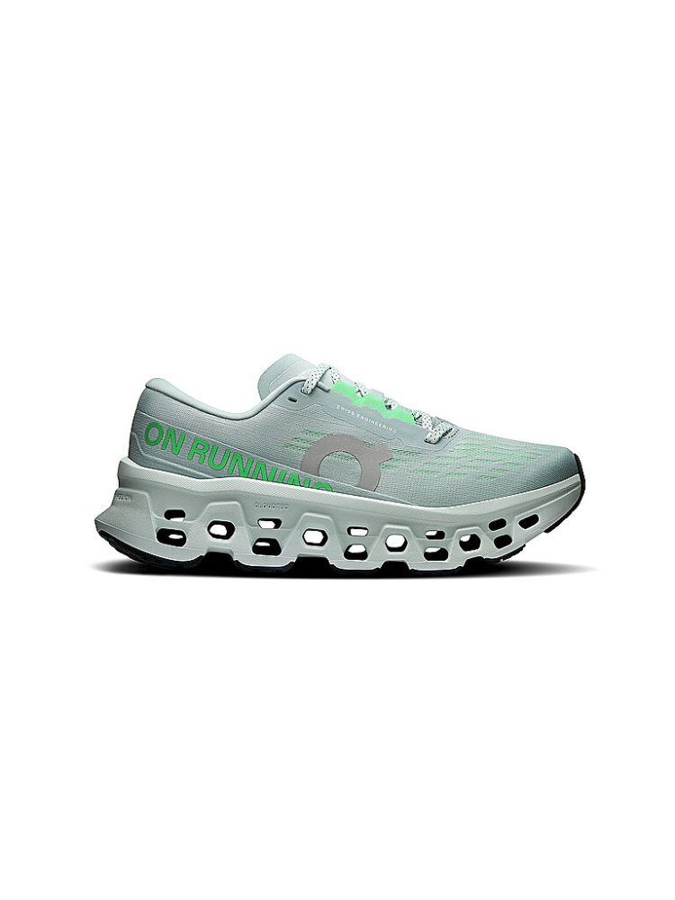ON Cloudmonster 3 Damen Laufschuh Grau, Damen, Größe: 7 1/2