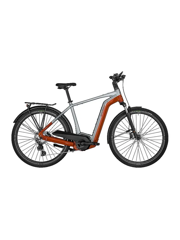 BERGAMONT Herren E-Bike E-Horizon Edition LTD Gent silber | 48