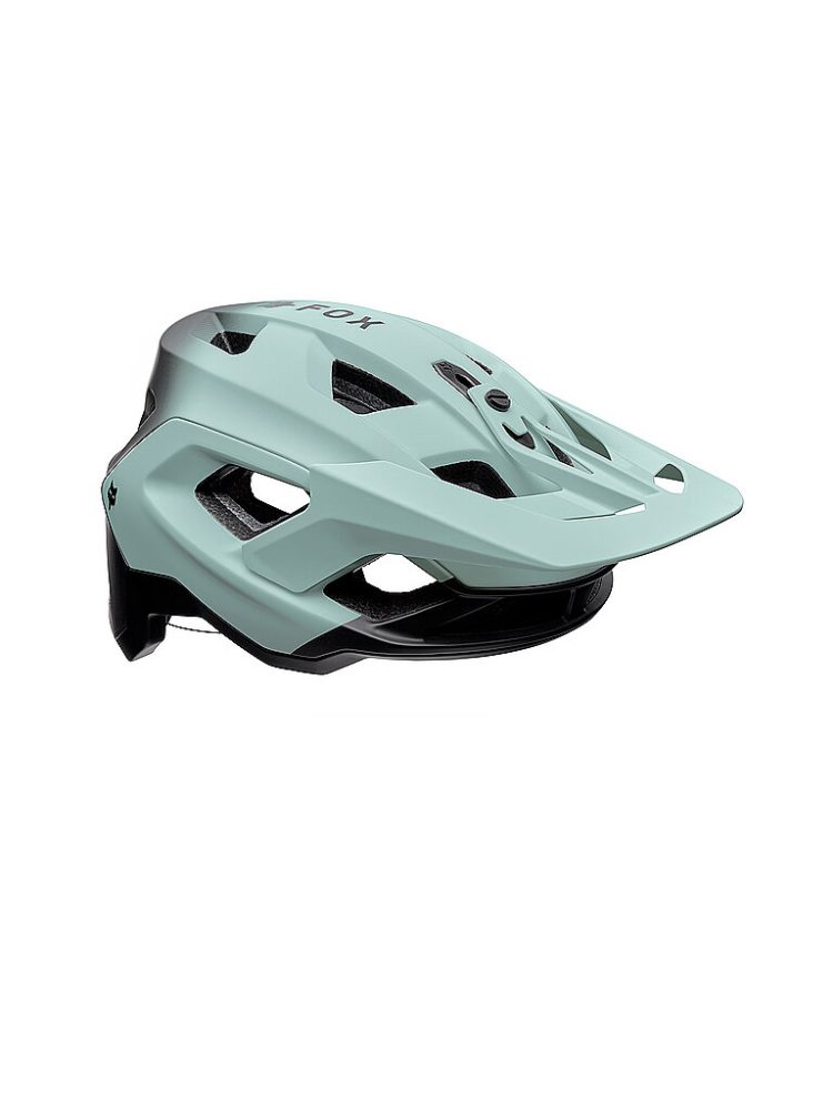 FOX Fahrradhelm Speedframe Pro grau | S