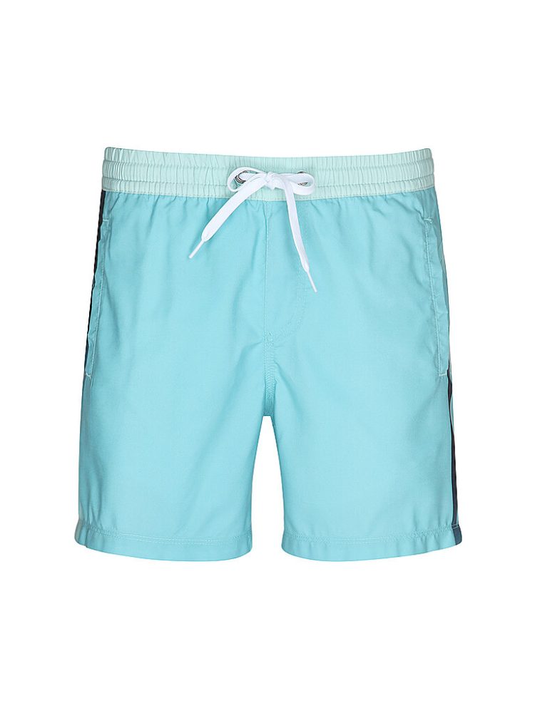 QUIKSILVER Herren Beachshorts Everyday Holmes Volley 16 hellblau | M