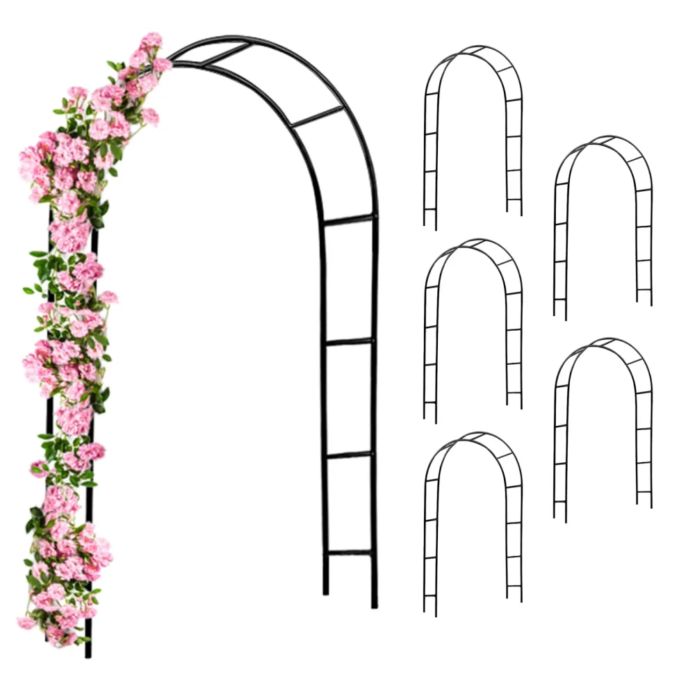 Rosenbogen 6er-Set Schwarz 240x37x140cm