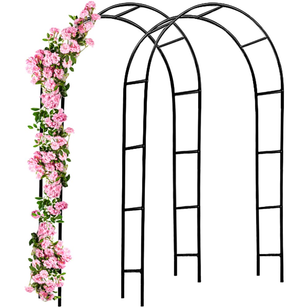 Rosenbogen 2er-Set Schwarz 240x37x140cm