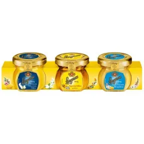 Langnese Mini-Honig-Spezialitäten 3ST 99,9G
