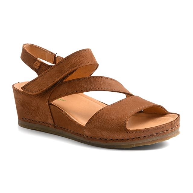 El naturalista N5852 PICUAL-40 40