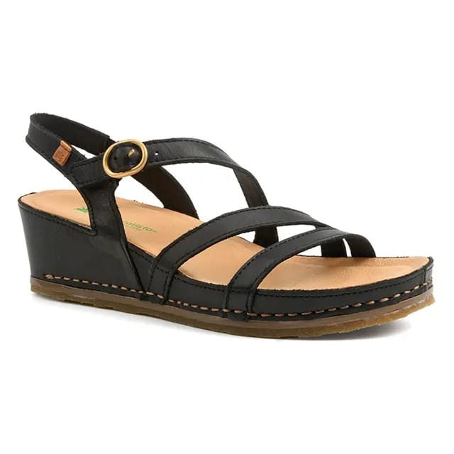 El naturalista PICUAL N5855-39 39
