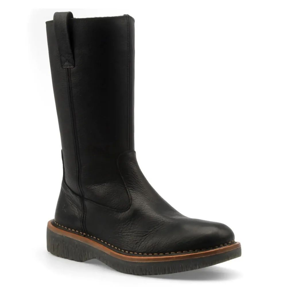 El naturalista N5585 VOLCANO-38 38