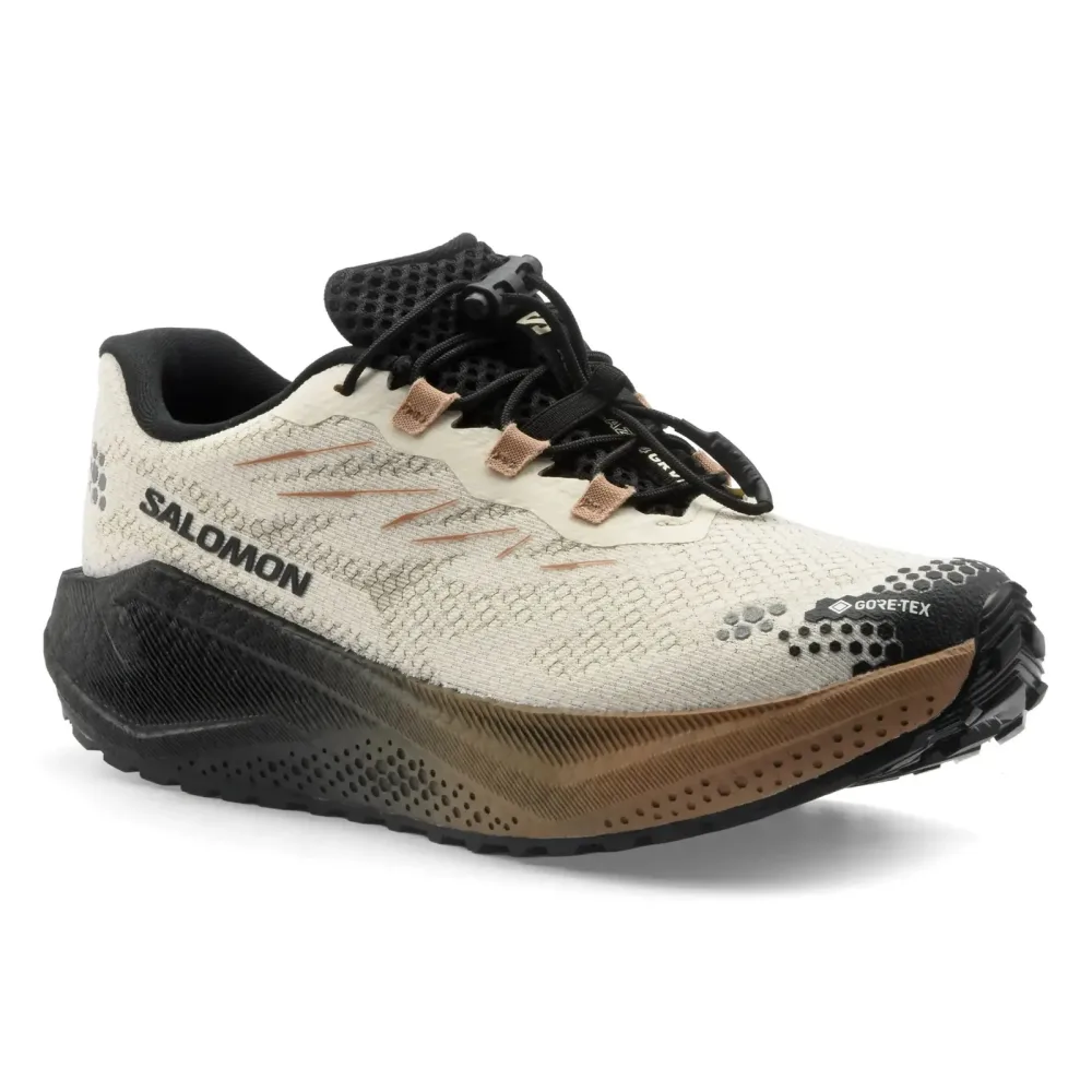 SALOMON Damen Traillaufschuhe Aero Blaze 4 Grvl GTX beige | 38
