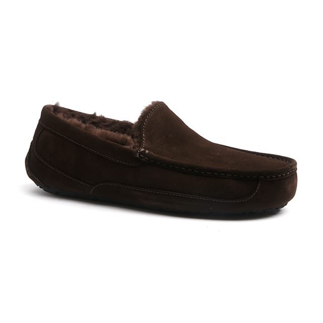 Ugg Ascot-8 41