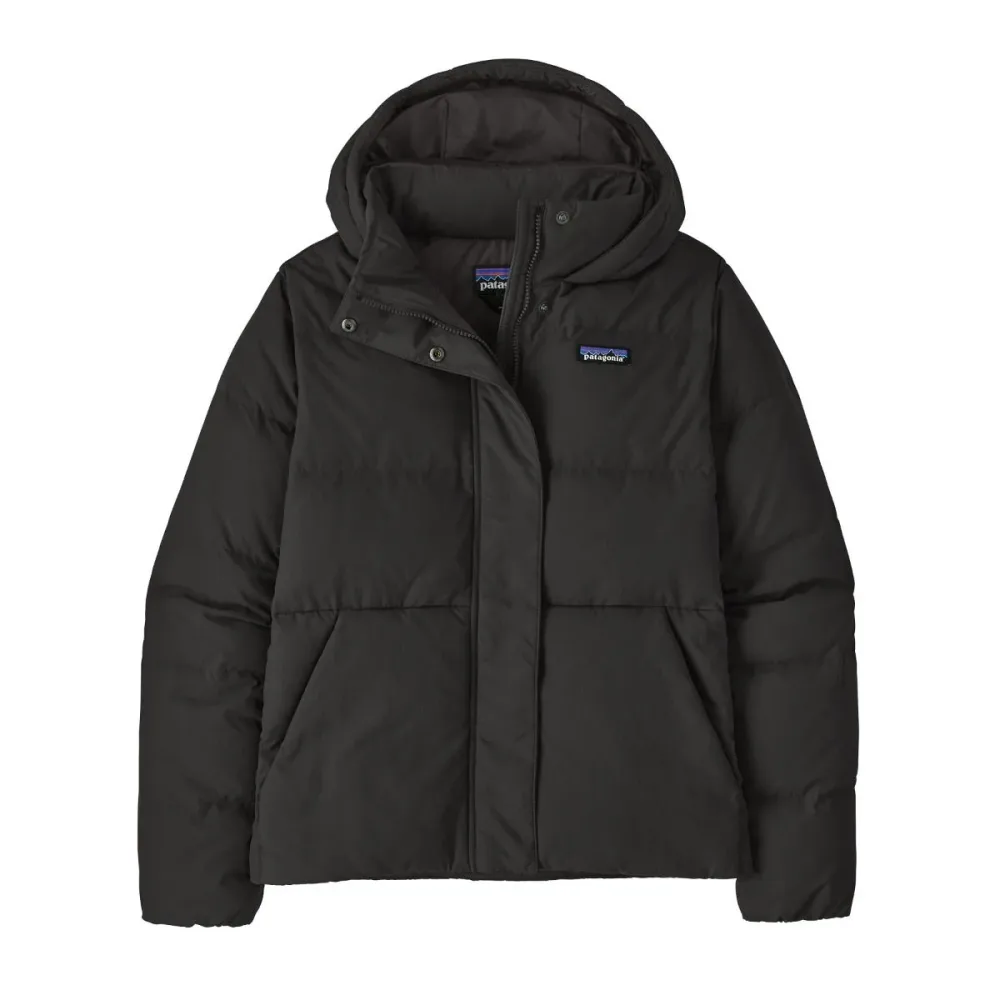Patagonia W's Sisar Down Hoody Jkt-L L
