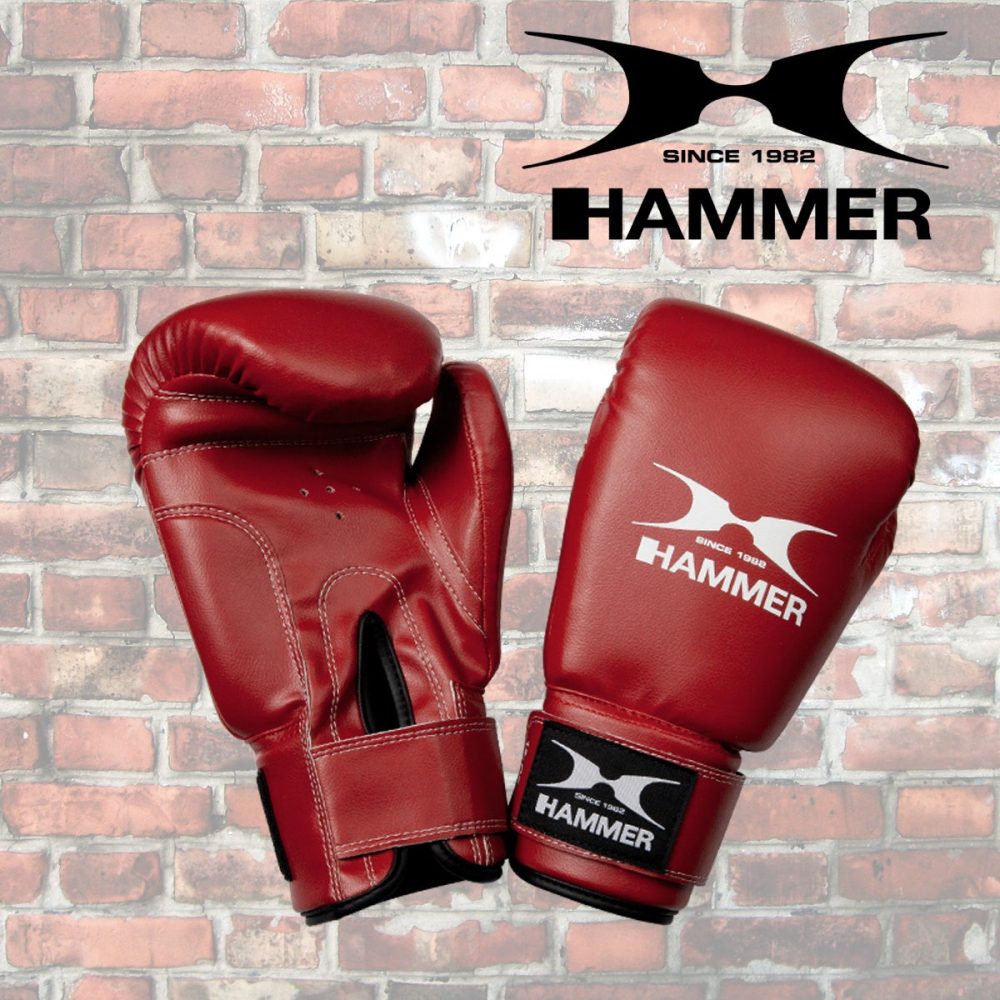 HAMMER BOXING Box-Set Pro