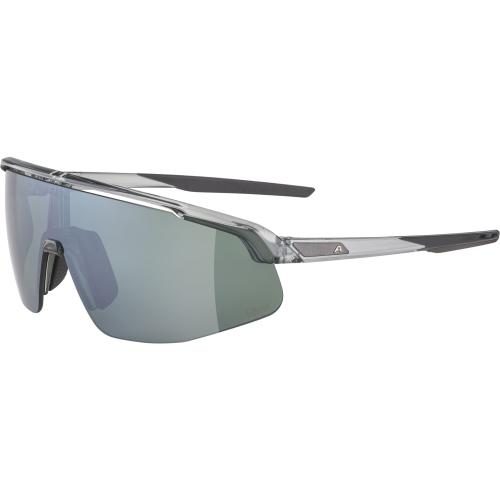 Alpina Turbo Pro Q-Lite Sonnenbrille - grey transparent, silver cat.3