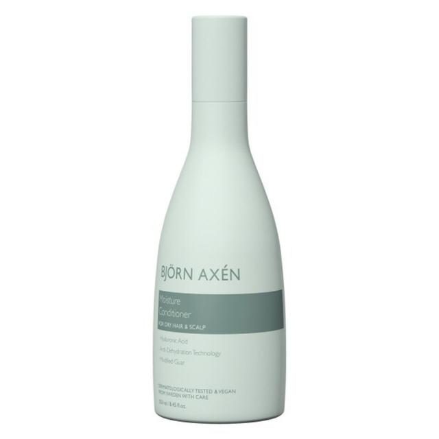 BJOERN AXEN - Moisture Conditioner, 250 ml