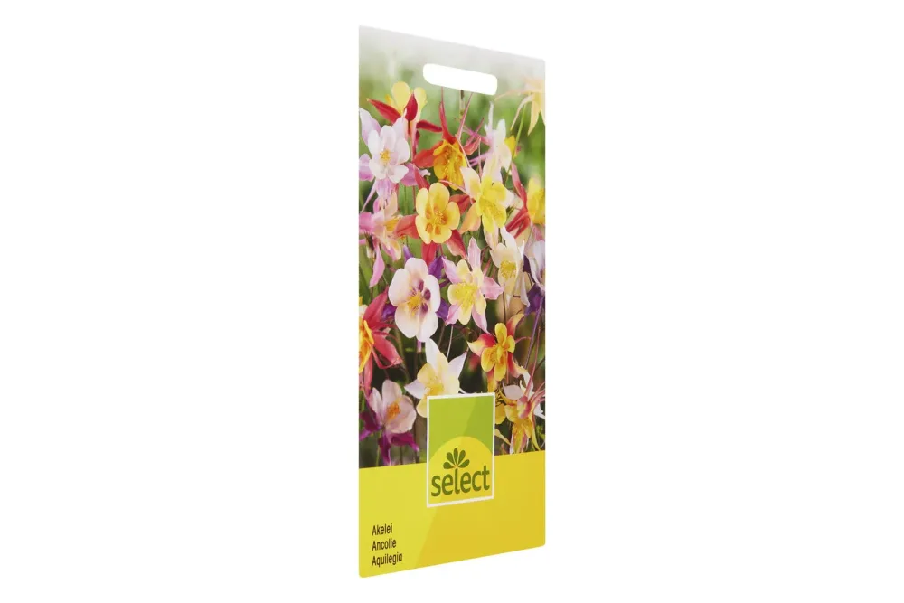 Select Aquilegia Mischung