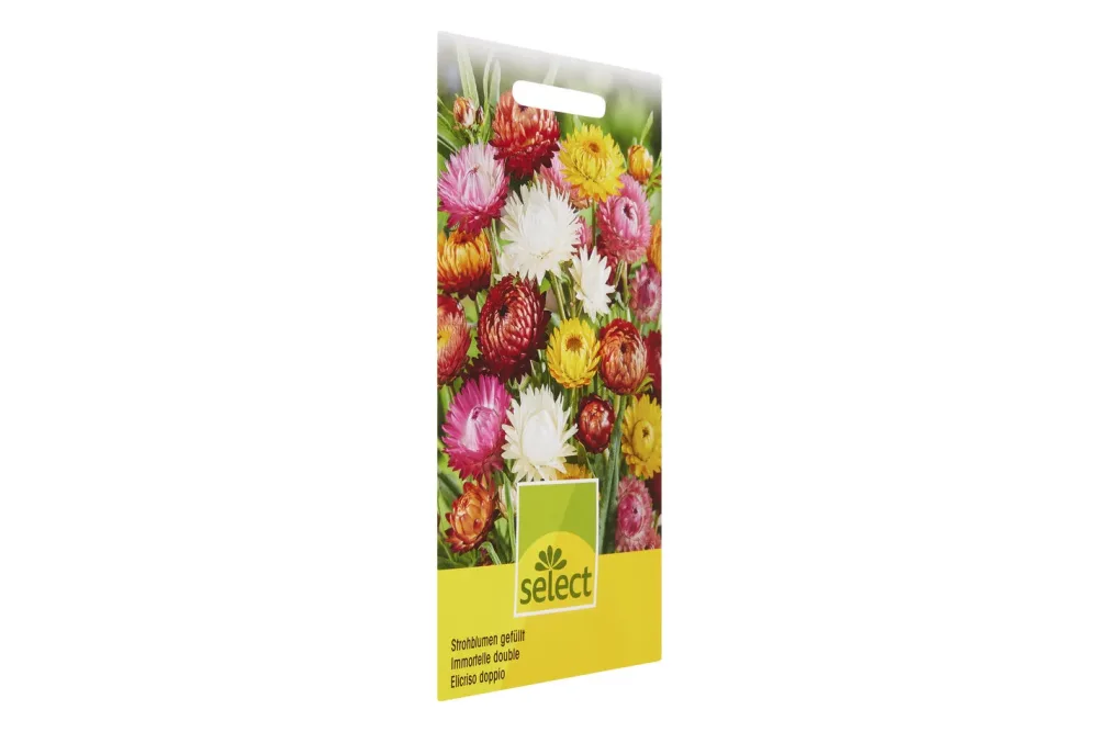 Select Strohblumen gefüllt