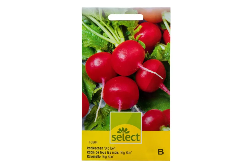 Select Radieschen Big Ben