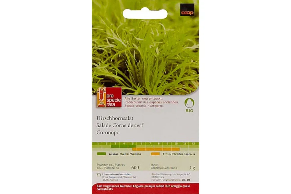 ProSpecieRara Bio Hirschhornsalat
