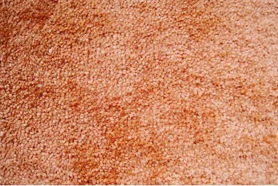 Teppich Versailles Terracotta | 4 × 0.4 m