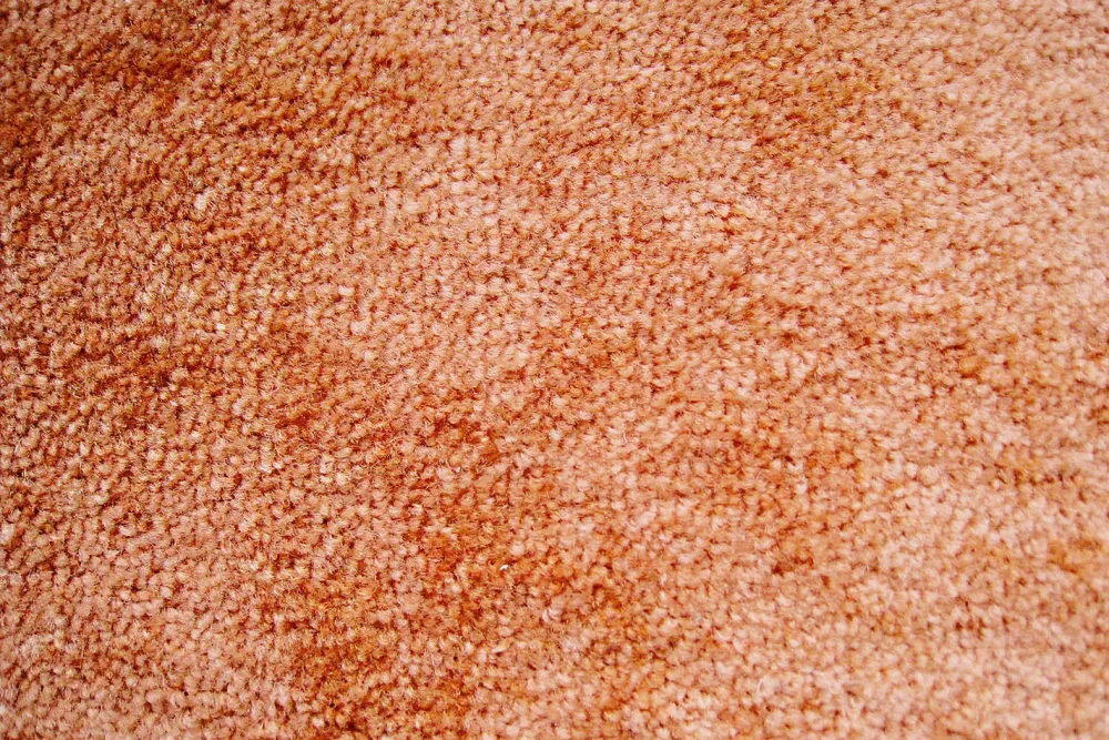 Teppich Versailles Terracotta | 5 × 0.5 m